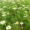 Images[9].thumb